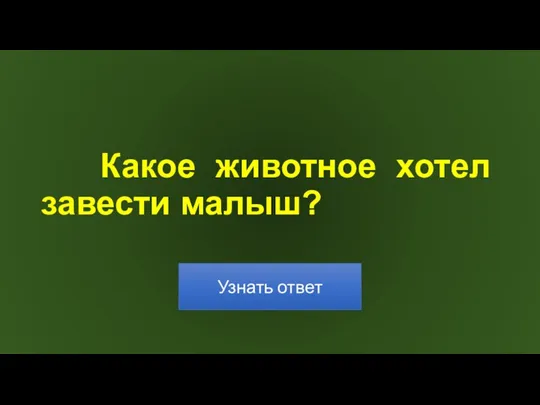 Какое животное хотел завести малыш?