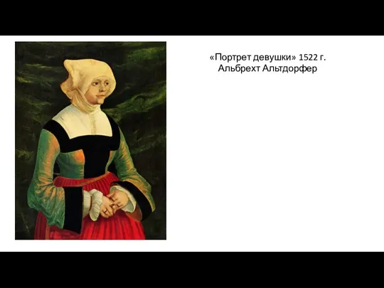 «Портрет девушки» 1522 г. Альбрехт Альтдорфер