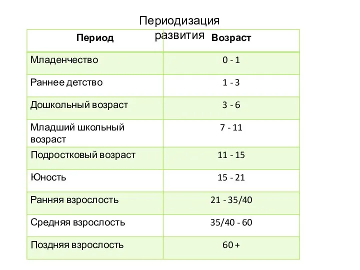 Периодизация развития