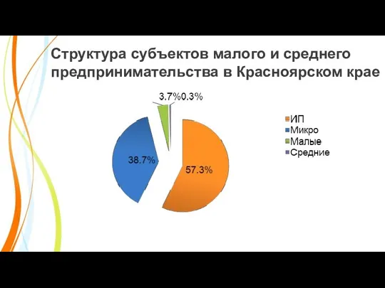 Структура субъектов малого и среднего предпринимательства в Красноярском крае