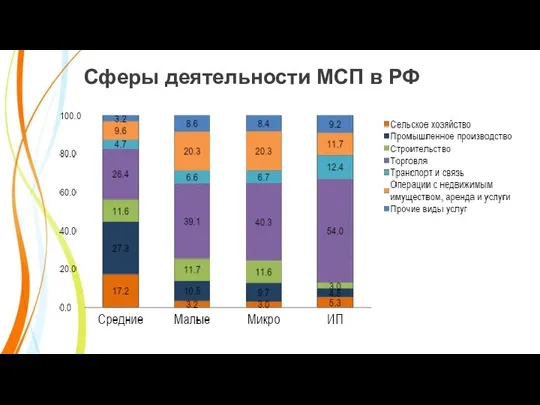 Сферы деятельности МСП в РФ