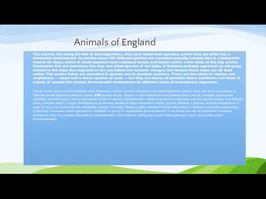 Animals of England The country lies along the line of bird