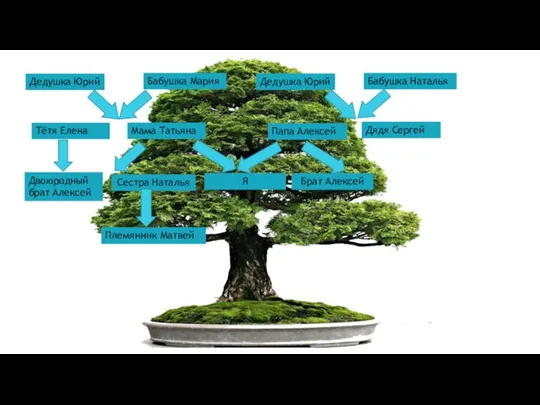 Дедушка Юрий Бабушка Мария Мама Татьяна Тётя Елена Двоюродный брат Алексей