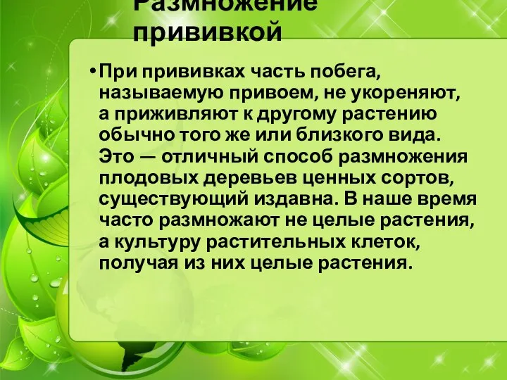 Размножение прививкой При прививках часть побега, называемую привоем, не укореняют, а