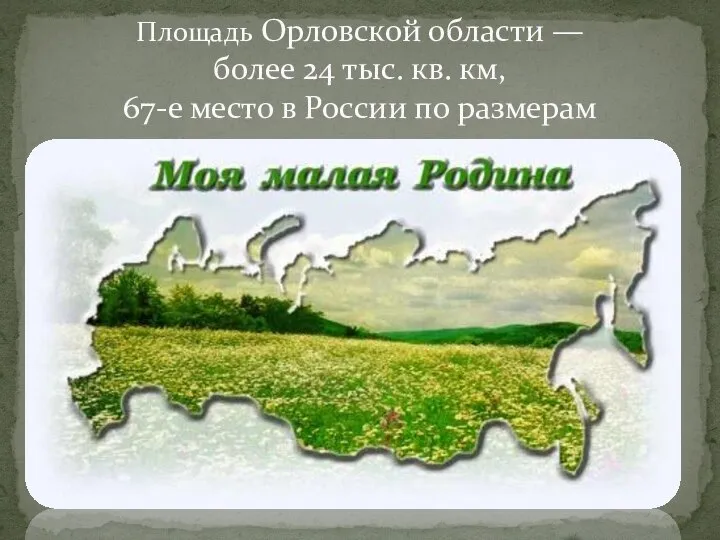 Площадь Орловской области — более 24 тыс. кв. км, 67-е место в России по размерам