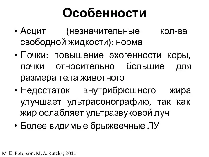 Асцит (незначительные кол-ва свободной жидкости): норма Почки: повышение эхогенности коры, почки