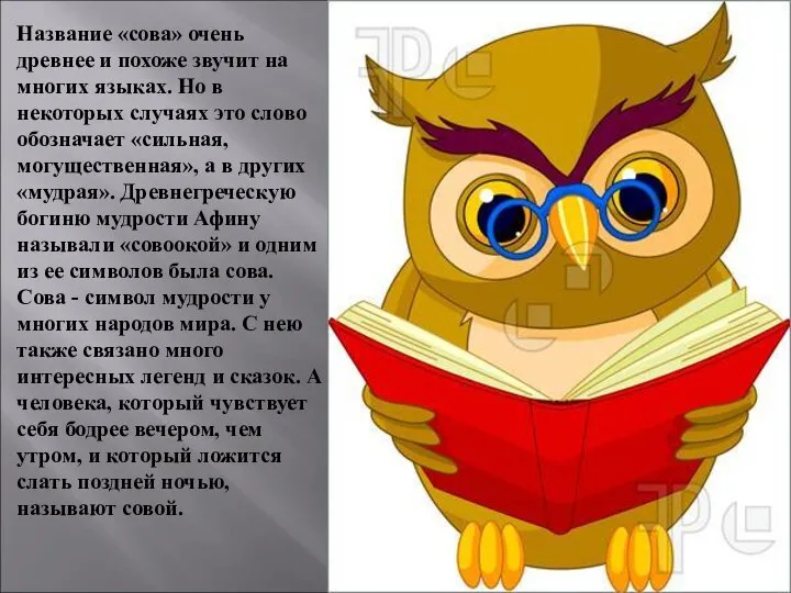 Название «сова» очень древнее и похоже звучит на многих языках. Но