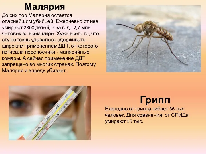 Малярия До сих пор Малярия остается опаснейшим убийцей. Ежедневно от нее