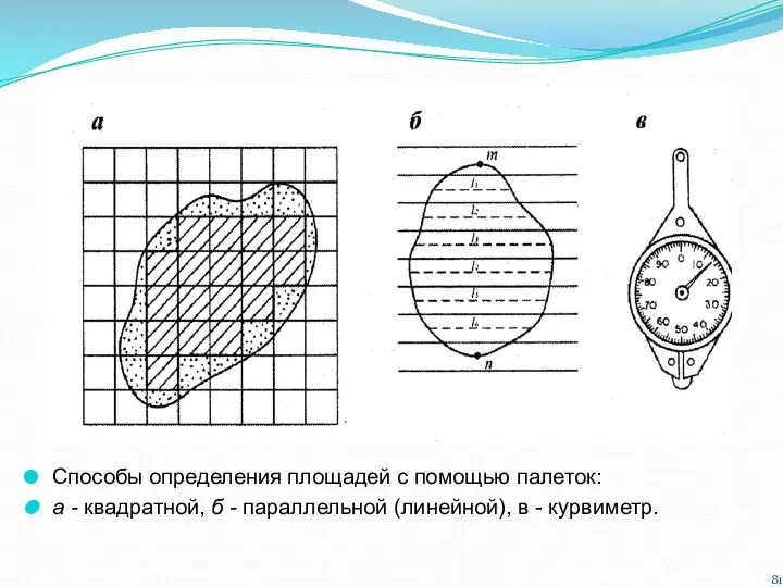 Способы определения площадей с помощью палеток: а - квадратной, б - параллельной (линейной), в - курвиметр.