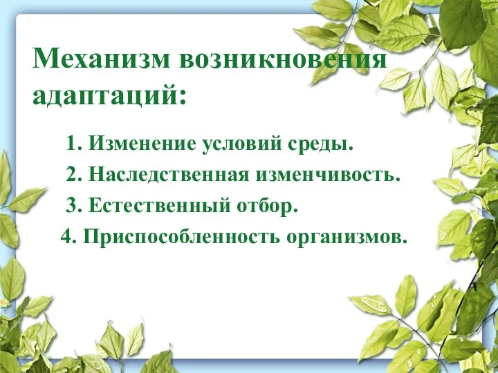 Механизм возникновения адаптаций: 1. Изменение условий среды. 2. Наследственная изменчивость. 3. Естественный отбор. 4. Приспособленность организмов.