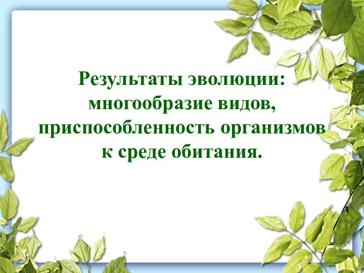 Результаты эволюции: многообразие видов, приспособленность организмов к среде обитания.