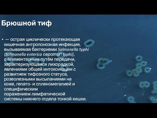 Брюшной тиф — острая циклически протекающая кишечная антропонозная инфекция, вызываемая бактериями