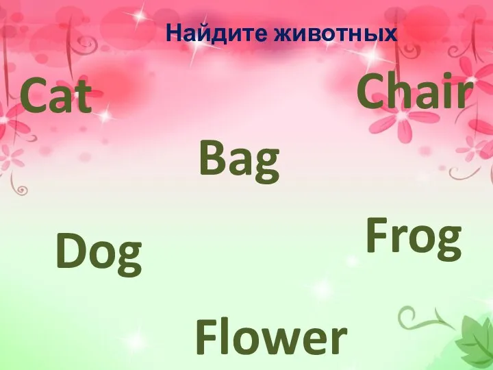 Найдите животных Cat Frog Dog Bag Chair Flower