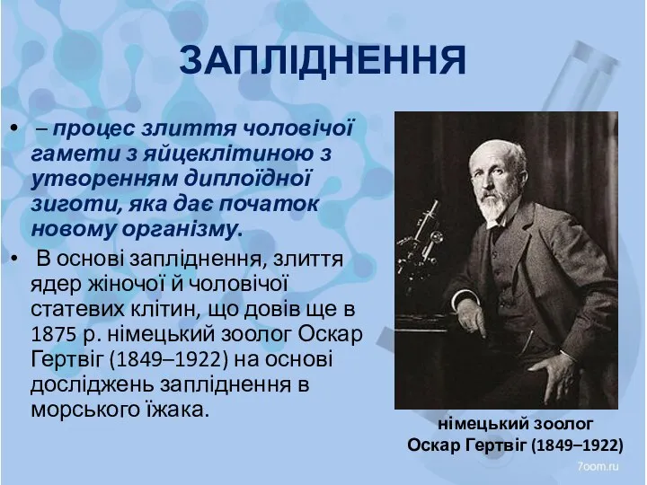 ЗАПЛІДНЕННЯ – процес злиття чоловічої гамети з яйцеклітиною з утворенням диплоїдної