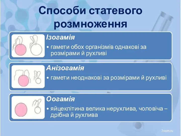 Способи статевого розмноження