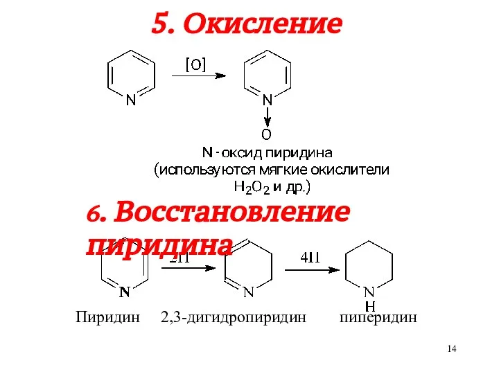 5. Окисление Пиридин 2,3-дигидропиридин пиперидин 6. Восстановление пиридина