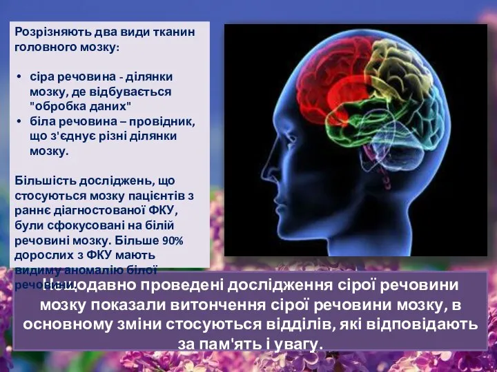 Нещодавно проведені дослідження сірої речовини мозку показали витончення сірої речовини мозку,