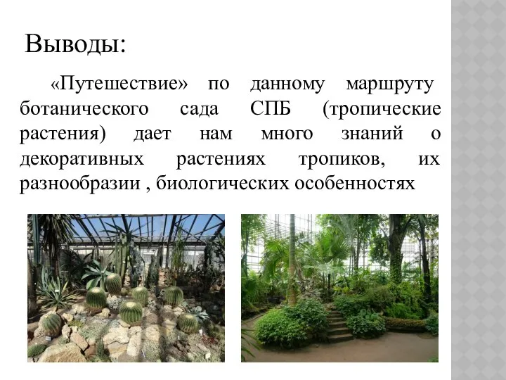 Выводы: «Путешествие» по данному маршруту ботанического сада СПБ (тропические растения) дает