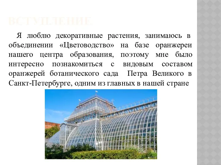 ВСТУПЛЕНИЕ Я люблю декоративные растения, занимаюсь в объединении «Цветоводство» на базе