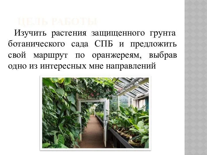 ЦЕЛЬ РАБОТЫ Изучить растения защищенного грунта ботанического сада СПБ и предложить