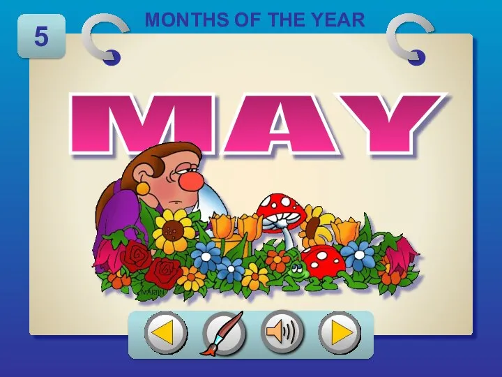 MAY MONTHS OF THE YEAR 5