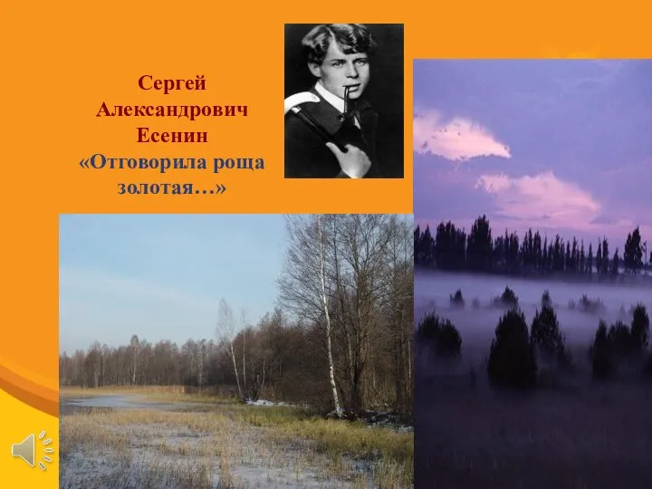 Сергей Александрович Есенин «Отговорила роща золотая…»