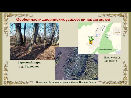 Особенности дворянских усадеб: липовые аллеи Заросший парк в д. Безводное План