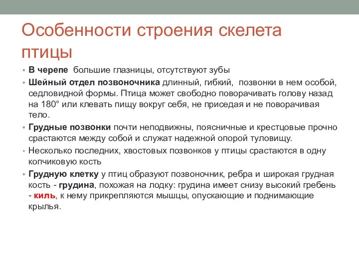 Особенности строения скелета птицы В черепе большие глазницы, отсутствуют зубы Шейный