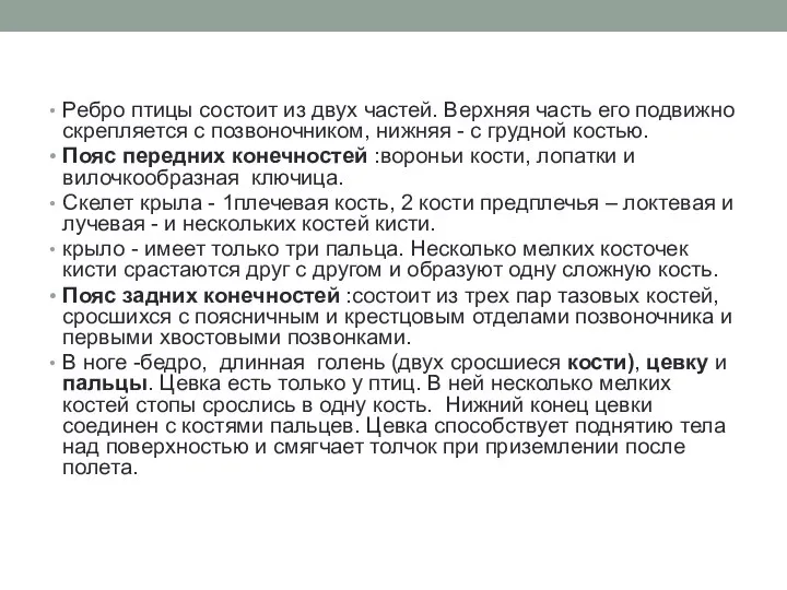 Ребро птицы состоит из двух частей. Верхняя часть его подвижно скрепляется