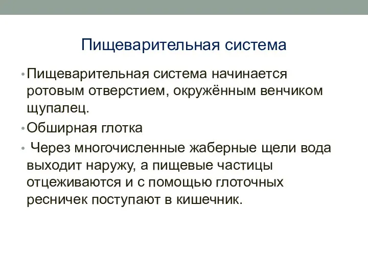 Пищеварительная система Пищеварительная система начинается ротовым отверстием, окружённым венчиком щупалец. Обширная