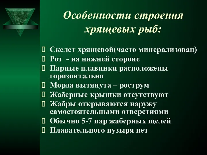 Особенности строения хрящевых рыб: Скелет хрящевой(часто минерализован) Рот - на нижней