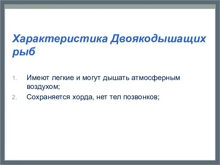 Характеристика Двоякодышащих рыб Имеют легкие и могут дышать атмосферным воздухом; Сохраняется хорда, нет тел позвонков;