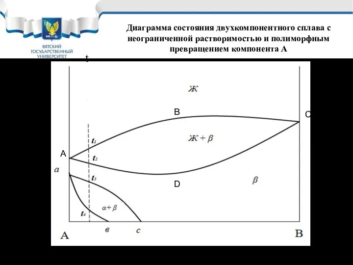 Диаграмма состояния двухкомпонентного сплава с неограниченной растворимостью и полиморфным превращением компонента