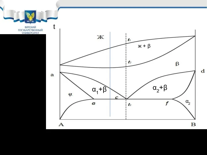 Диаграмма состояния двухкомпонентного сплава с неограниченной растворимостью и полиморфным превращением обоих