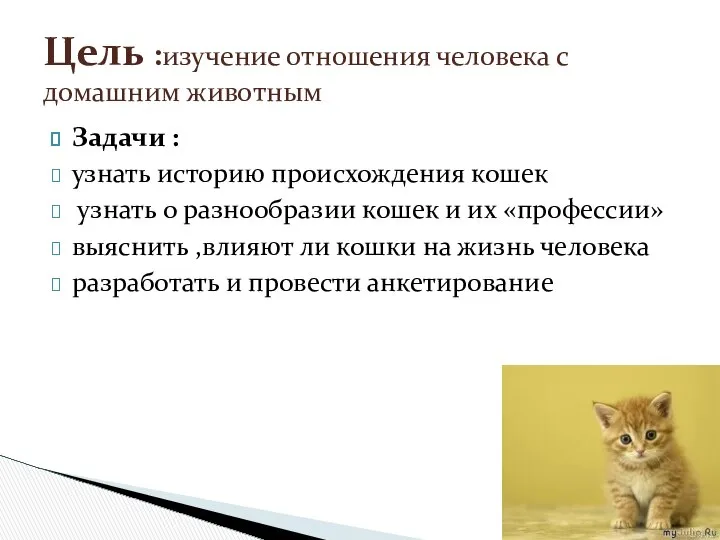 Задачи : узнать историю происхождения кошек узнать о разнообразии кошек и