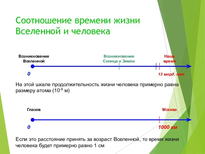 Соотношение времени жизни Вселенной и человека На этой шкале продолжительность жизни