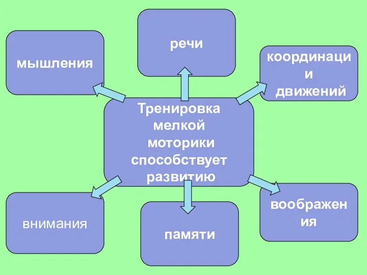 памяти Тренировка мелкой моторики способствует развитию координации движений внимания воображения мышления речи