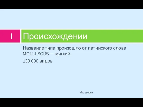 Название типа произошло от латинского слова molluscus — мягкий. 130 000 видов Происхождении Моллюски I