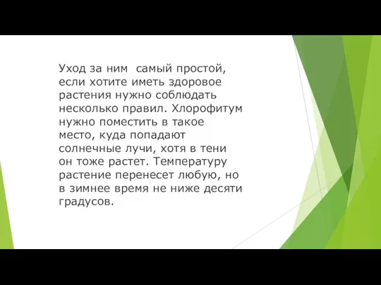 Уход за ним самый простой, если хотите иметь здоровое растения нужно