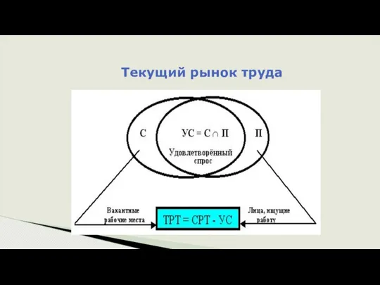 Текущий рынок труда