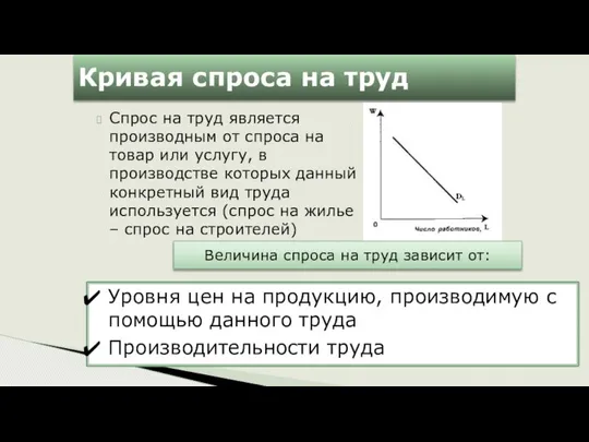 Кривая спроса на труд Спрос на труд является производным от спроса