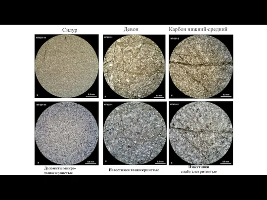 Доломиты микро-тонкозернистые Известняки тонкозернистые Силур Девон Известняки слабо алевритистые Карбон нижний-средний