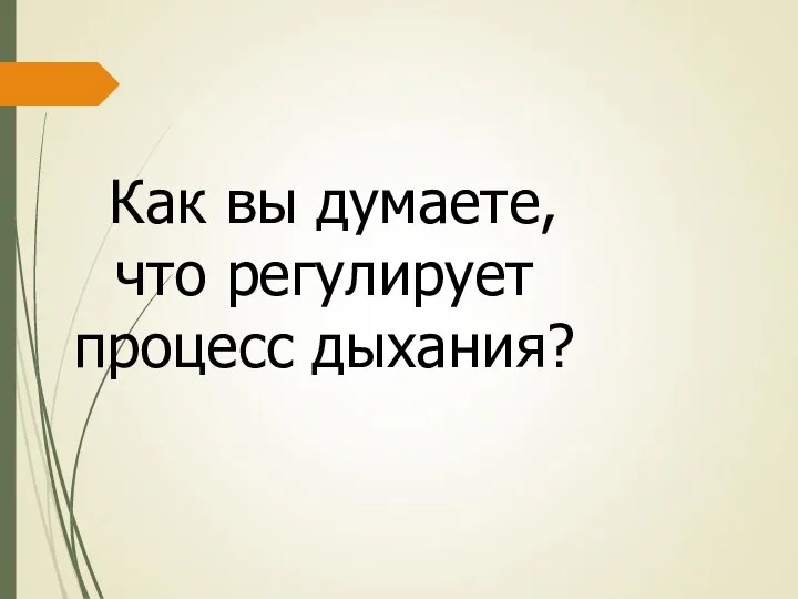 Как вы думаете, что регулирует процесс дыхания?