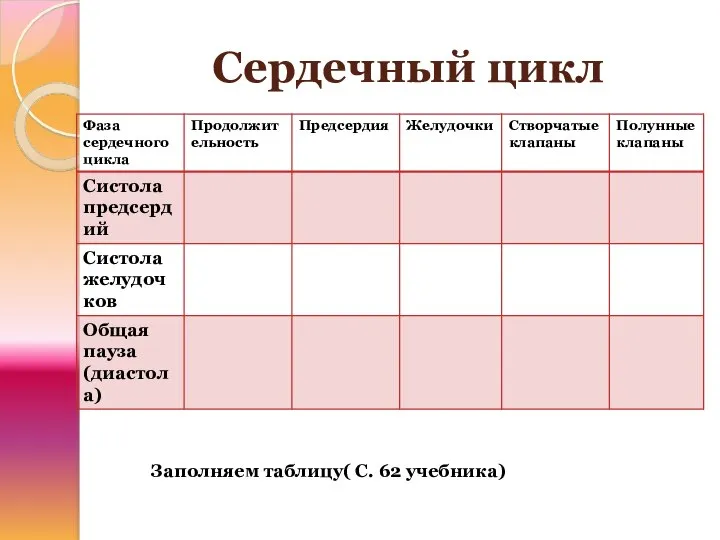 Сердечный цикл Заполняем таблицу( С. 62 учебника)