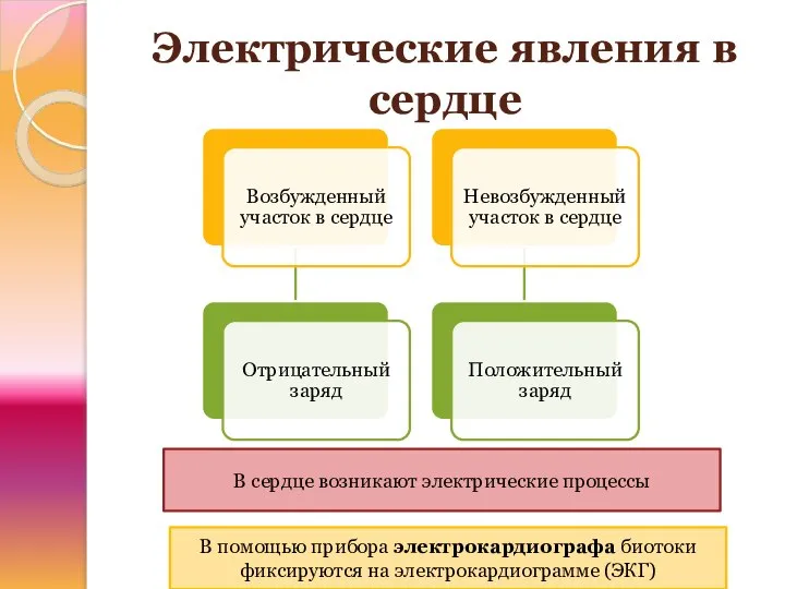 Электрические явления в сердце В сердце возникают электрические процессы В помощью