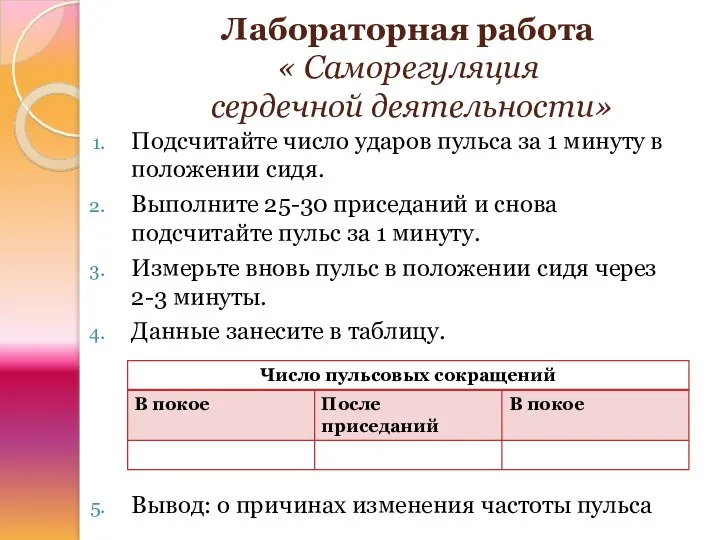 Лабораторная работа « Саморегуляция сердечной деятельности» Подсчитайте число ударов пульса за