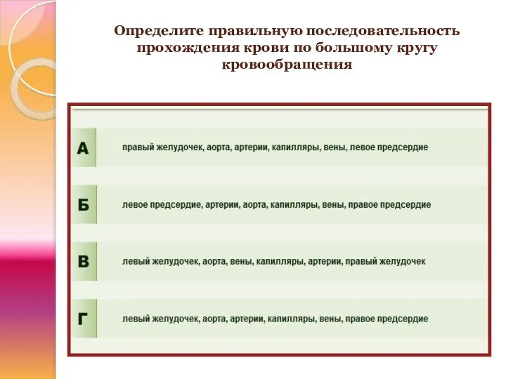 Определите правильную последовательность прохождения крови по большому кругу кровообращения