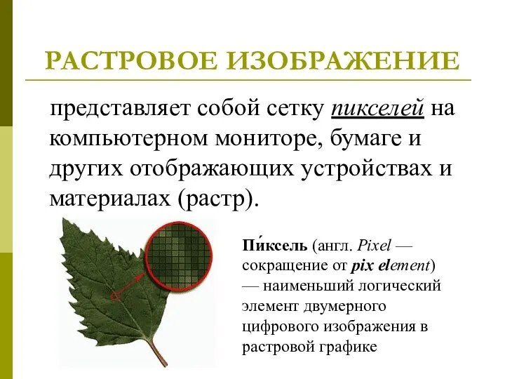 РАСТРОВОЕ ИЗОБРАЖЕНИЕ представляет собой сетку пикселей на компьютерном мониторе, бумаге и