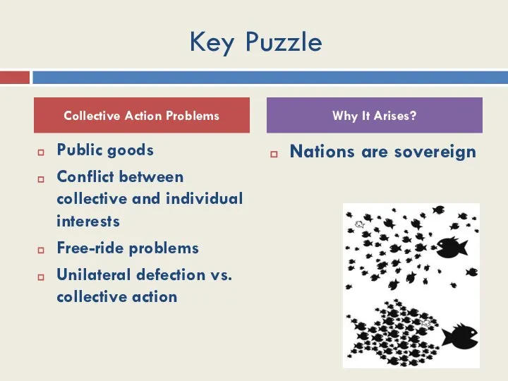 Key Puzzle Public goods Conflict between collective and individual interests Free-ride