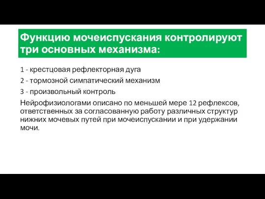 Функцию мочеиспускания контролируют три основных механизма: 1 - крестцовая рефлекторная дуга